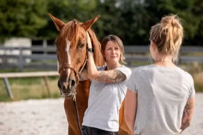 Einfühlsame Betreuung
