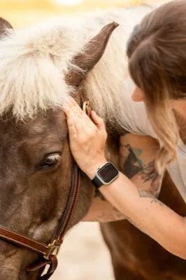 Feingefühl für schwierige Pferde