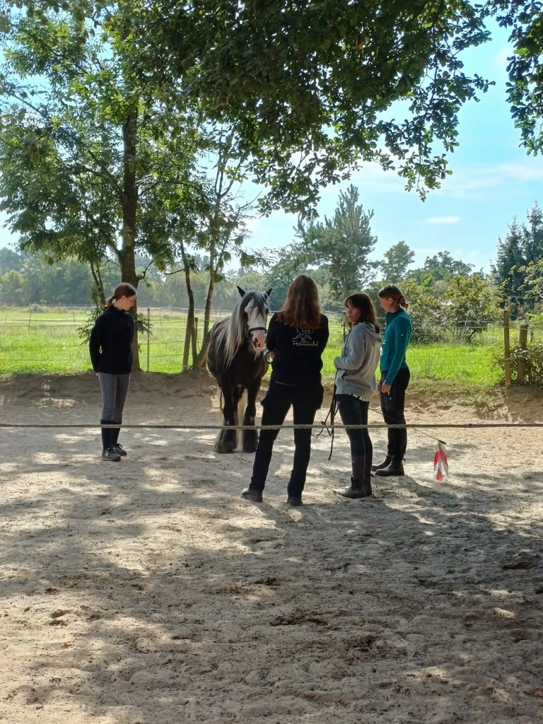 Charolie - Erster Pony's Balance Kurs