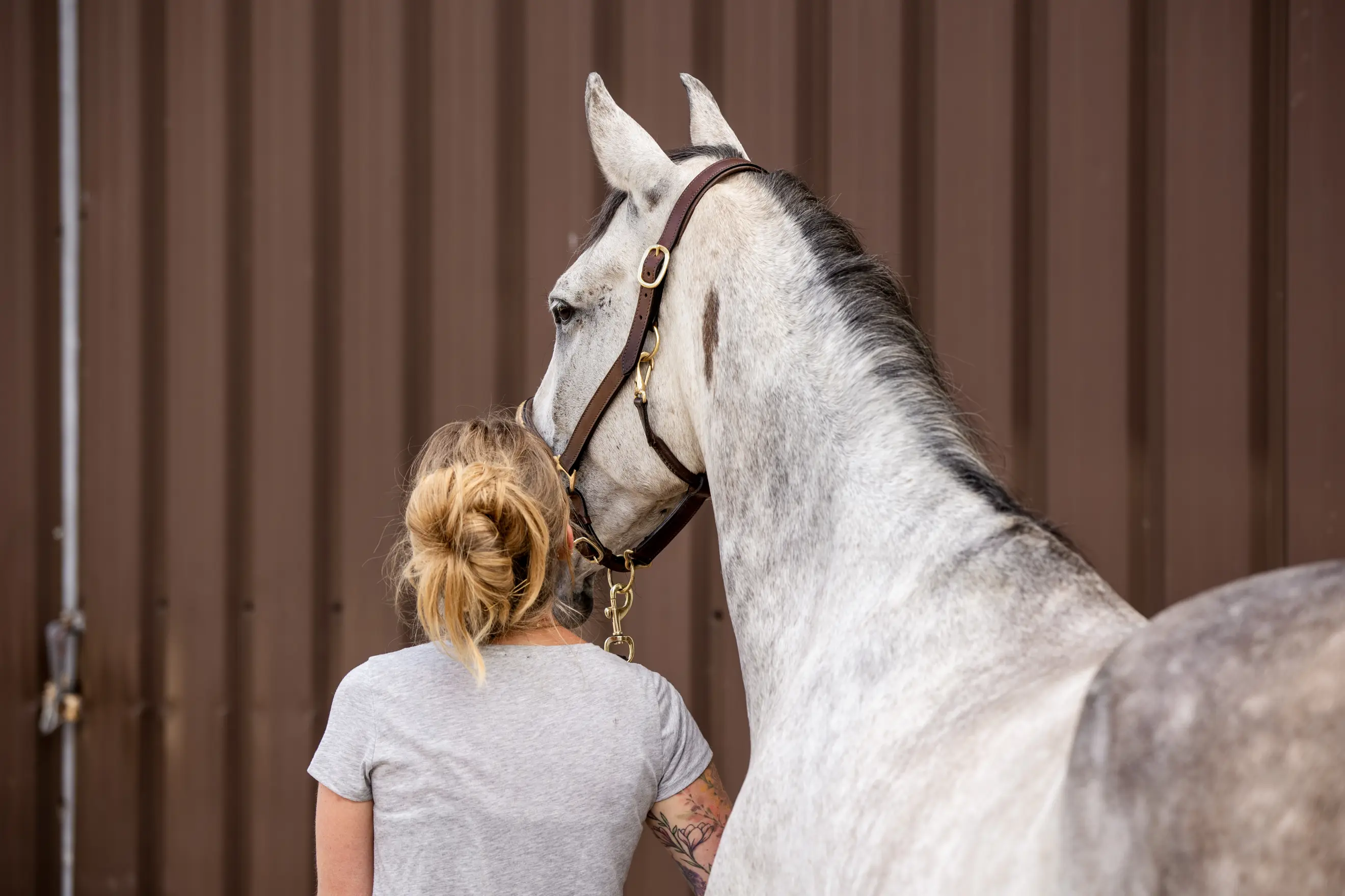 Charolie Zitat beim ersten Pony's Balance Kurs