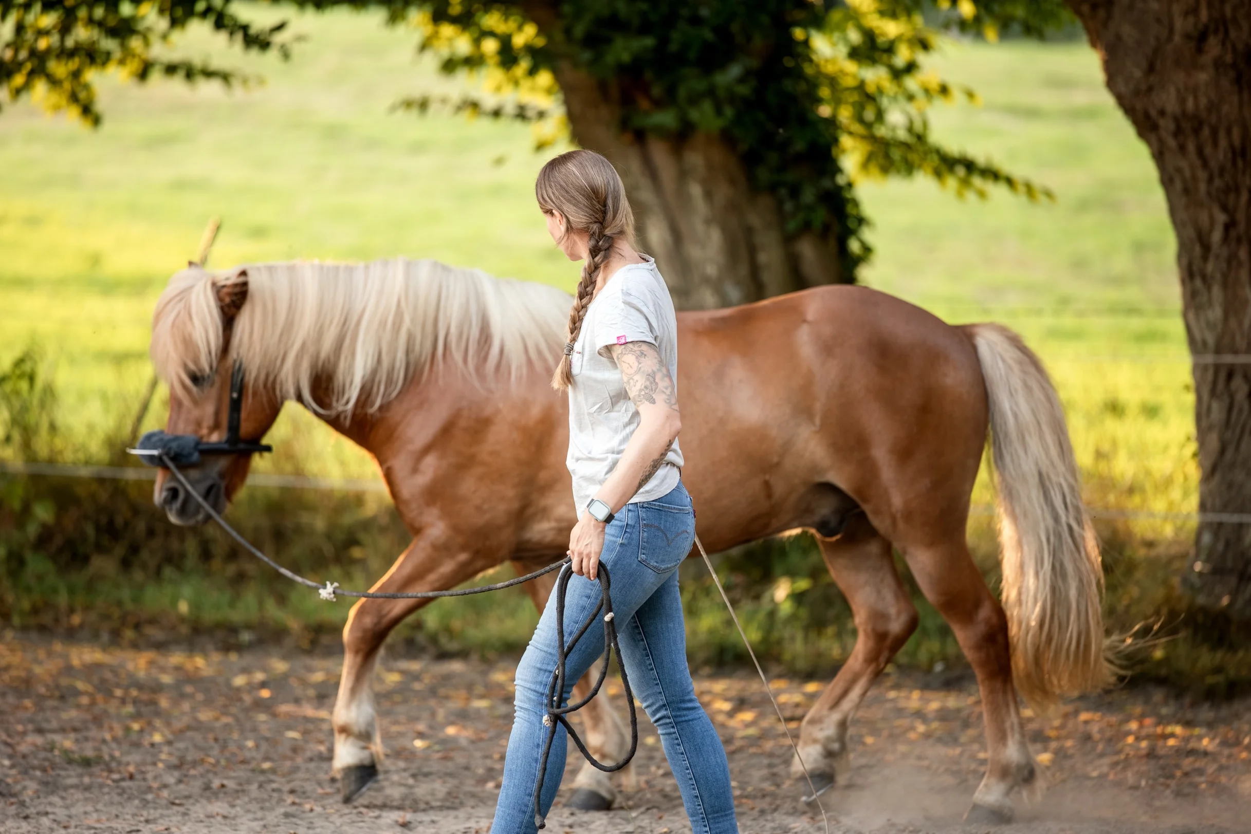 Faszien Behandlung Fullscreen