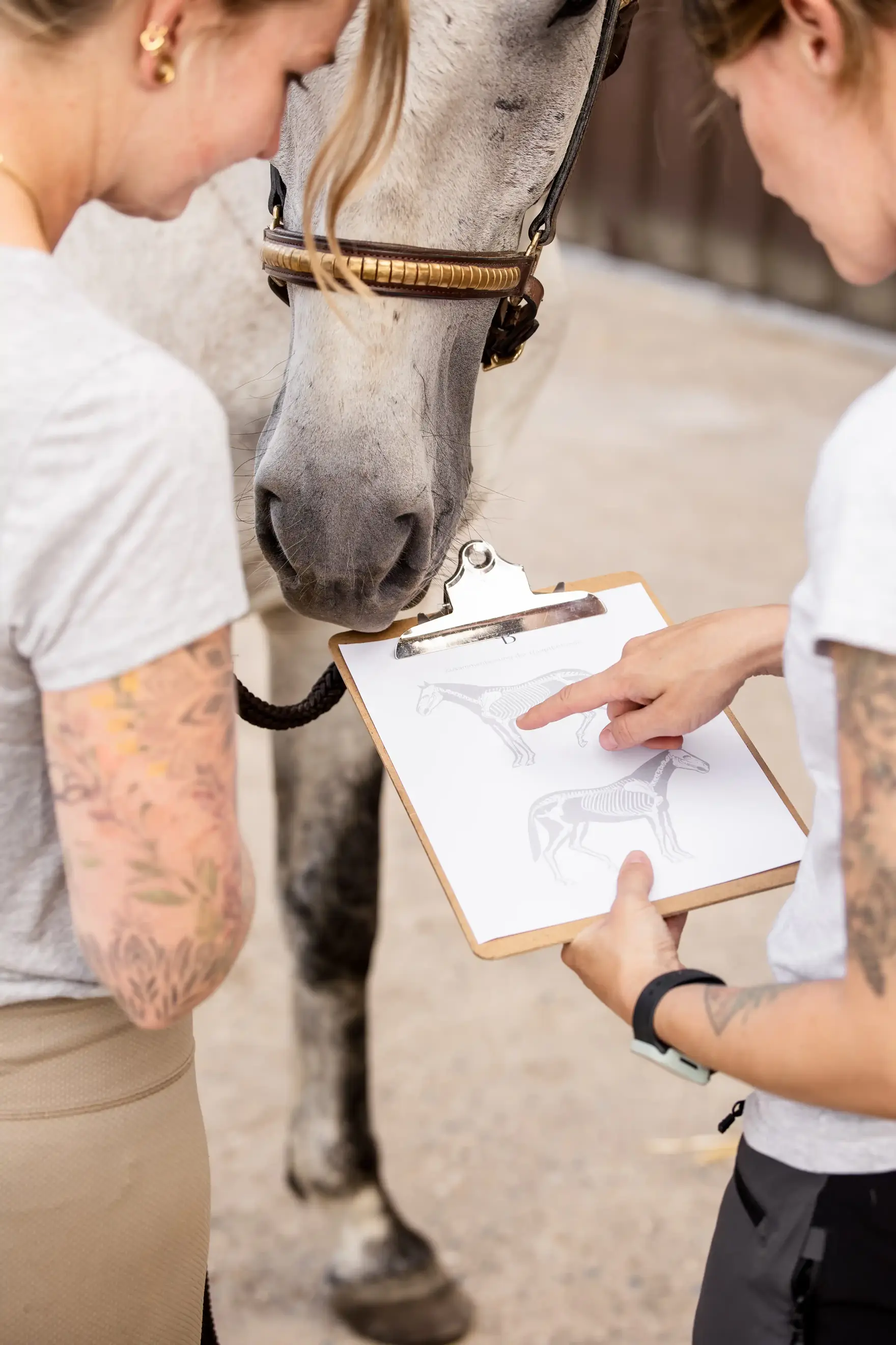 Trainingspläne Fullscreen