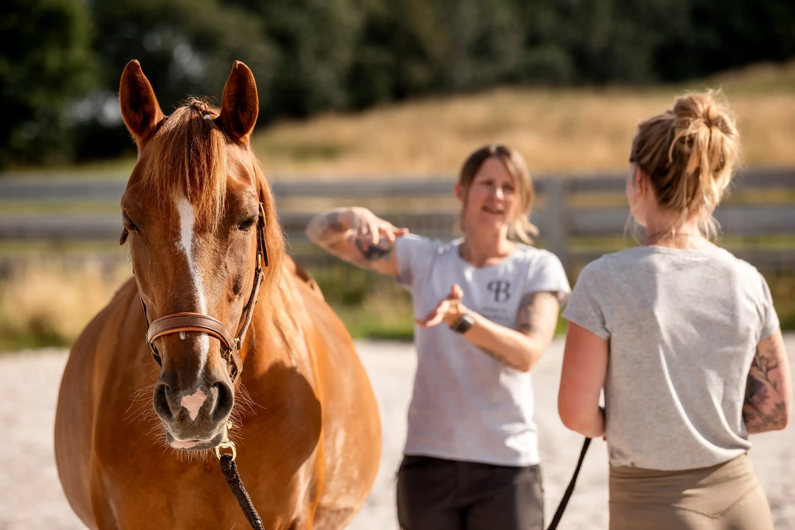 Trainingspläne Detail