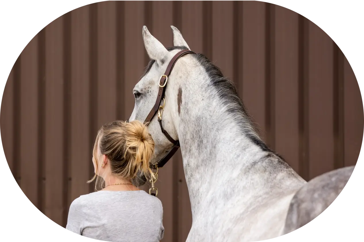 Trainingspläne Impression