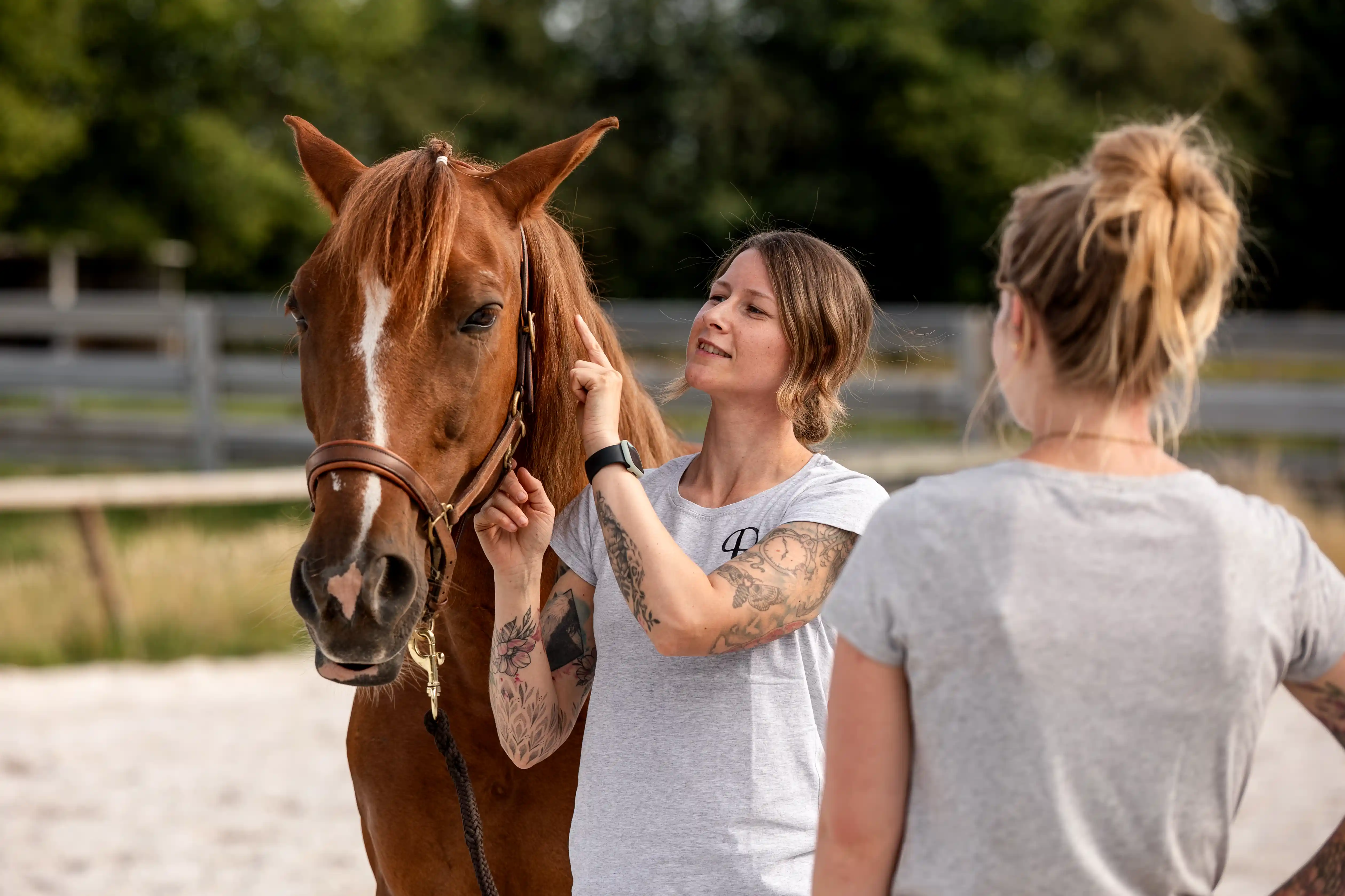 Doreen erklärt Pferdetraining